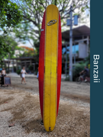 Load image into Gallery viewer, Surfboard Rentals 10' & Longer | Nosara