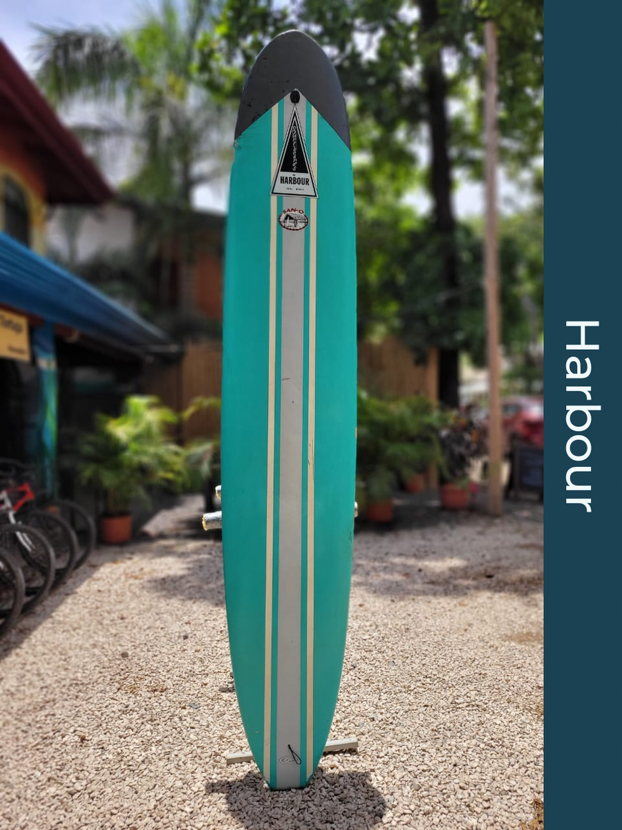 All Surfboards 10' The Frog Pad